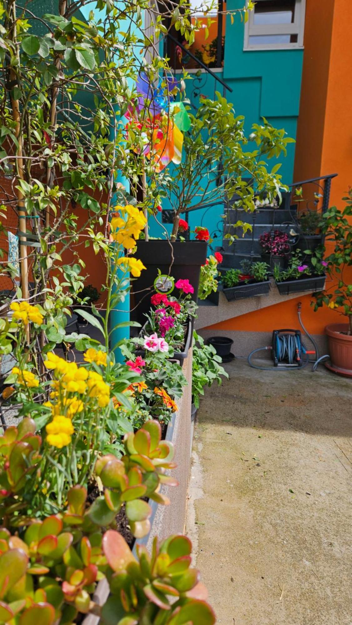 Mexicana Apartment Pink Zadar Exterior photo