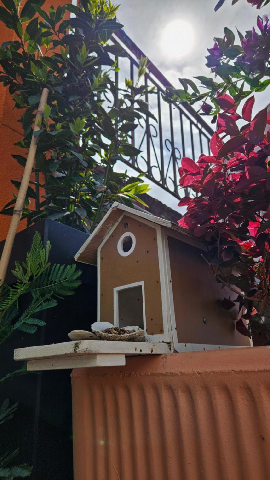Mexicana Apartment Pink Zadar Exterior photo